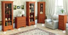 Мебель для гостиной ЖК21