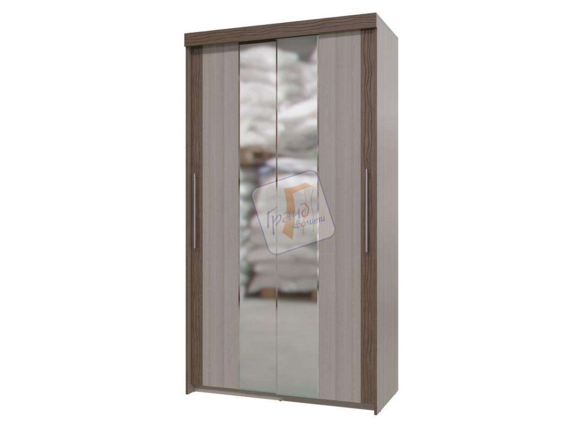 Мебелион Нижний Новгород  - заказать Шкаф-купе 2-х дверный "Азалия"  4-4006  за 15800 рублей